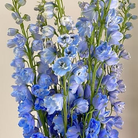 Blue Flowers - Petal Relations LA