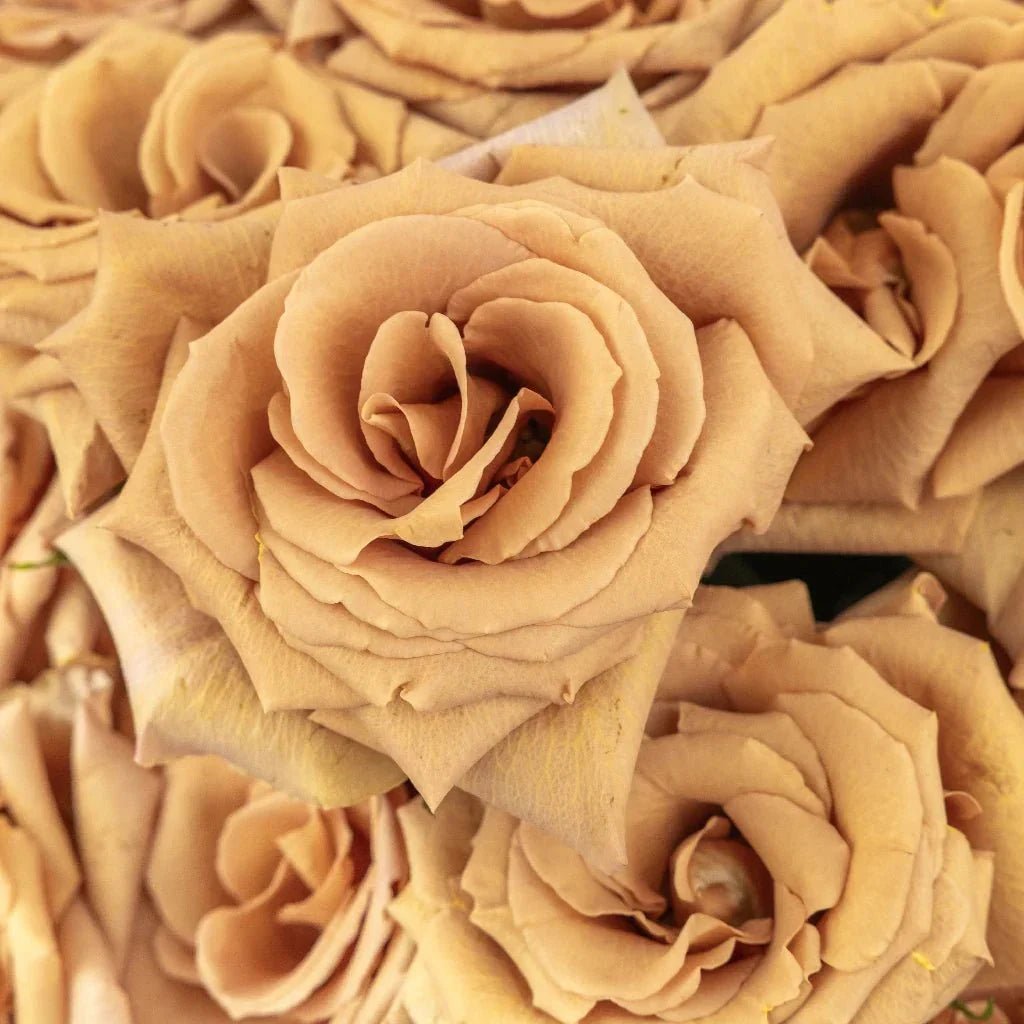 Toffee Flowers - Petal Relations LA