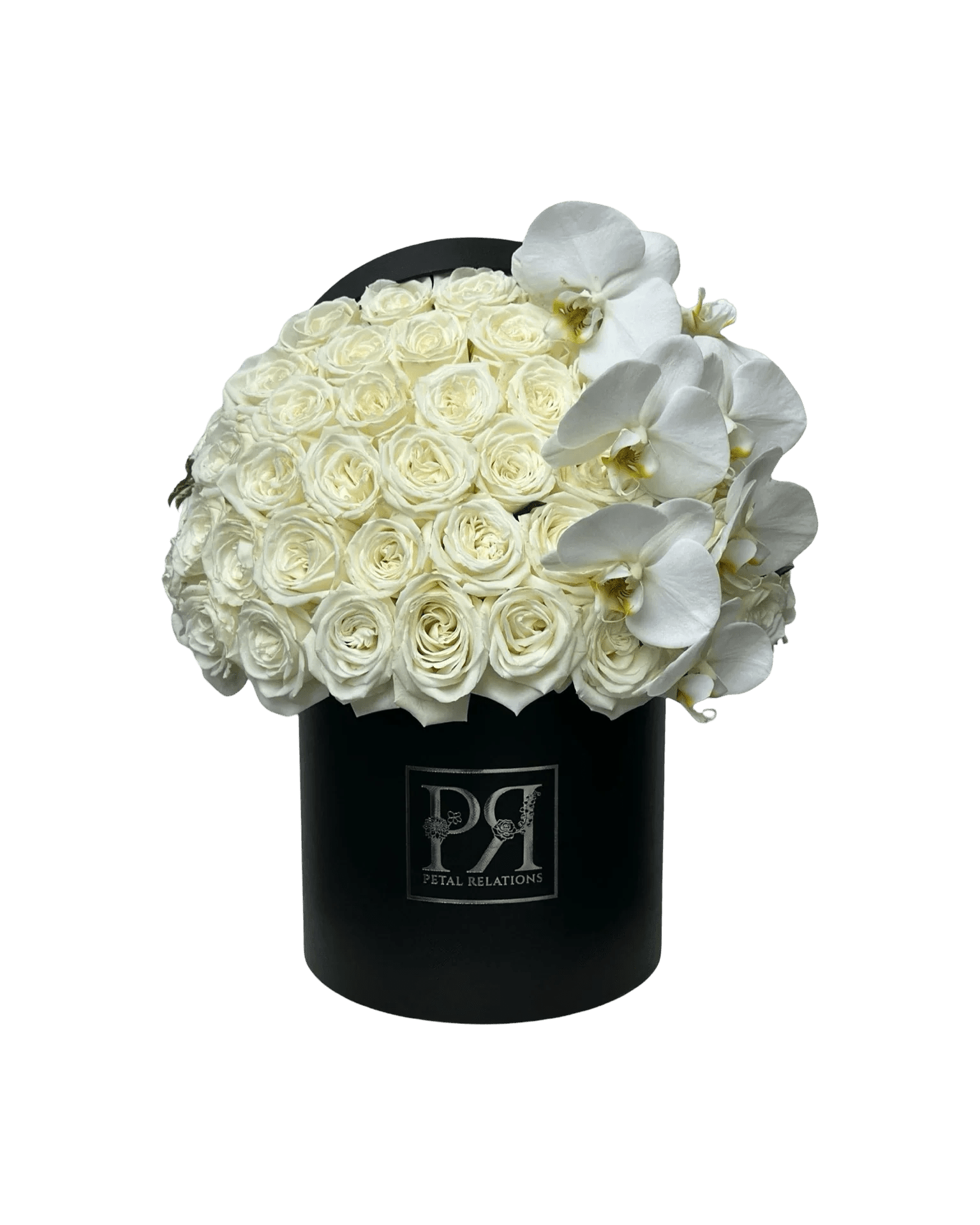 Winter Collection - Petal Relations LA