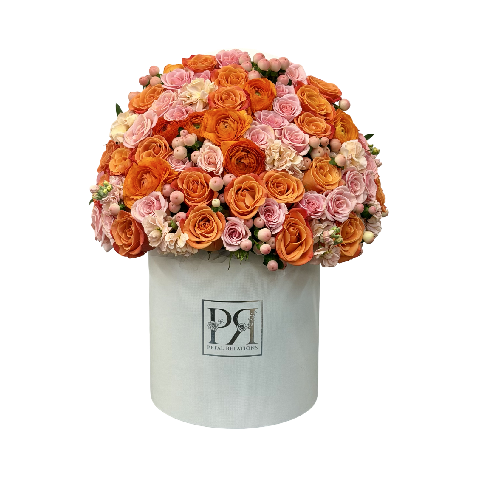 Apricot Dream