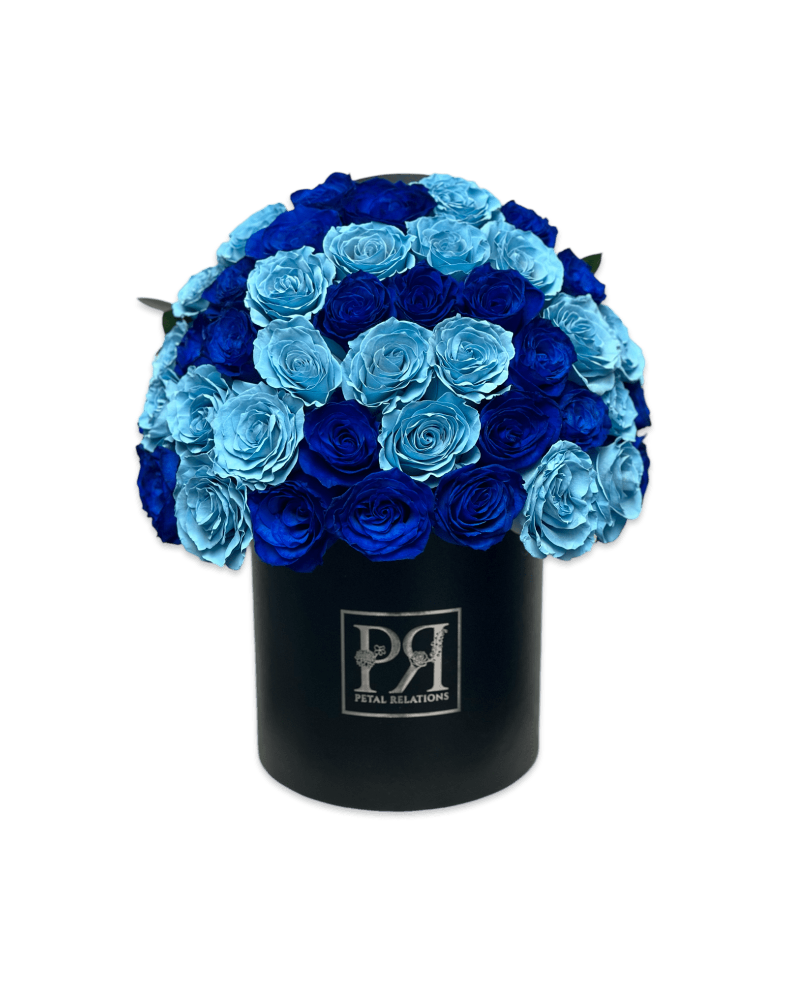 royal blue light blue roses flowers Baby Blues - Petal Relations