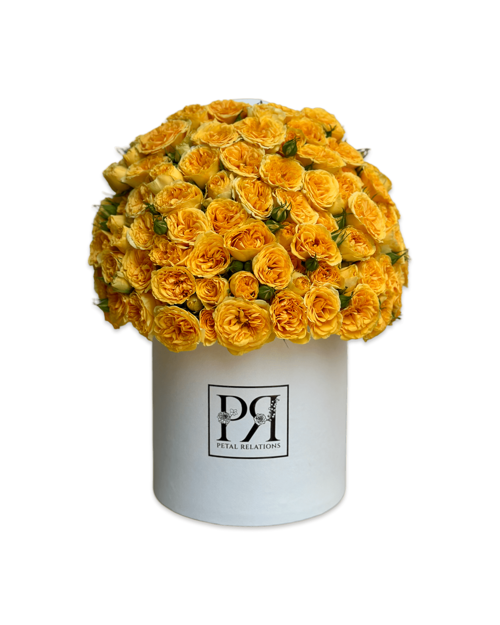 Baby Roses in a Box VDAY - Petal Relations LA