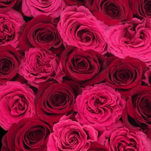 Be Mine Remix - Petal Relations LA