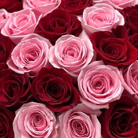 Be Mine Remix - Petal Relations LA