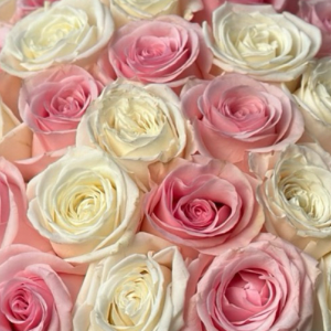 Be Mine Remix - Petal Relations LA