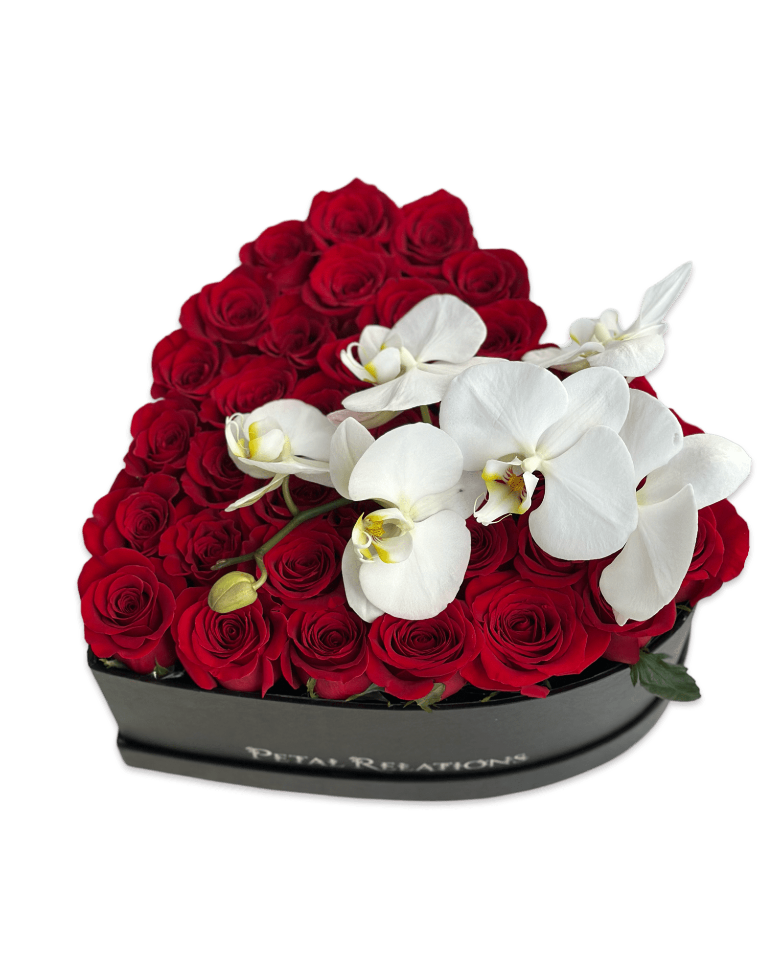 Be Mine with Phalaenopsis Orchid - Petal Relations LA