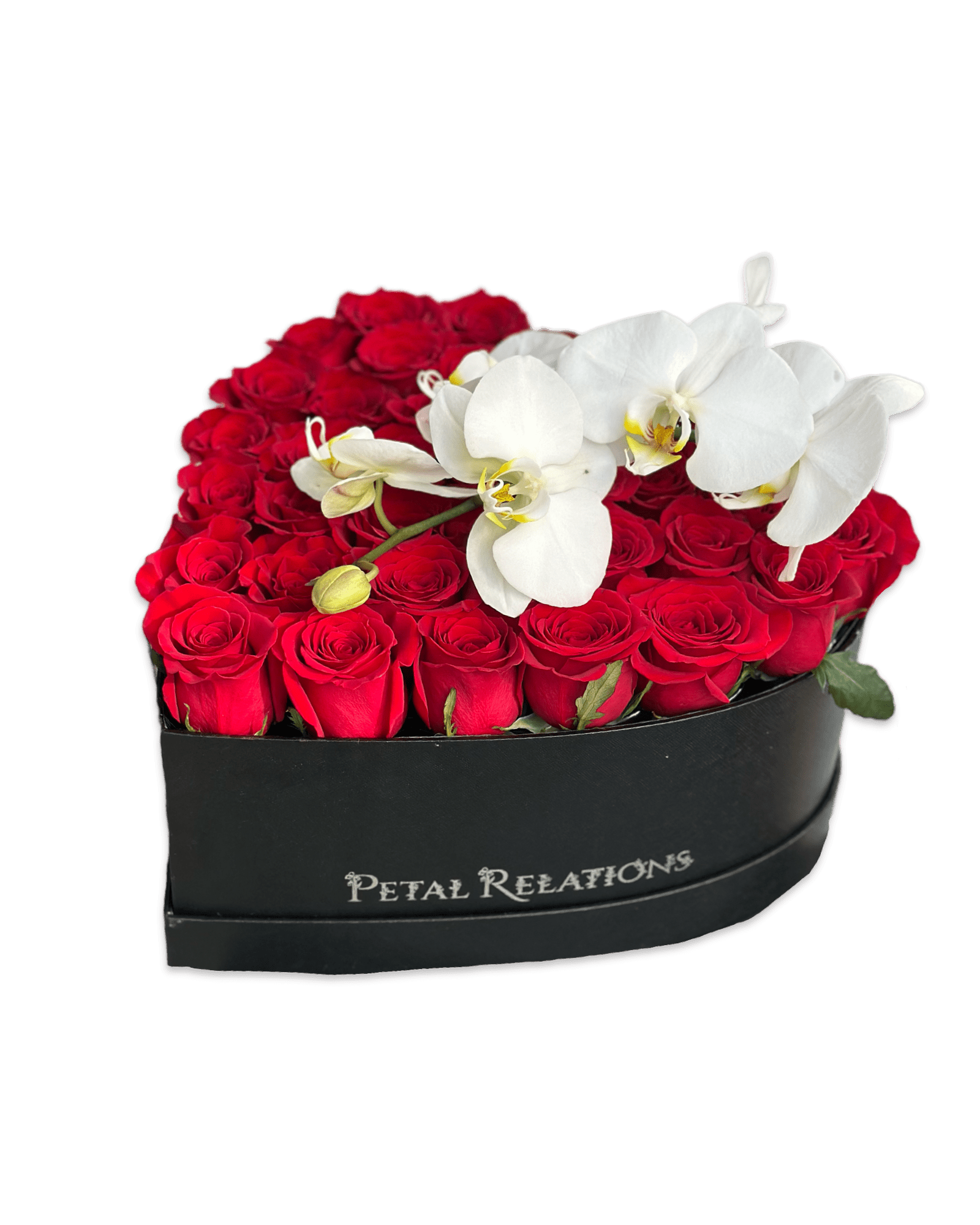 Be Mine with Phalaenopsis Orchid - Petal Relations LA