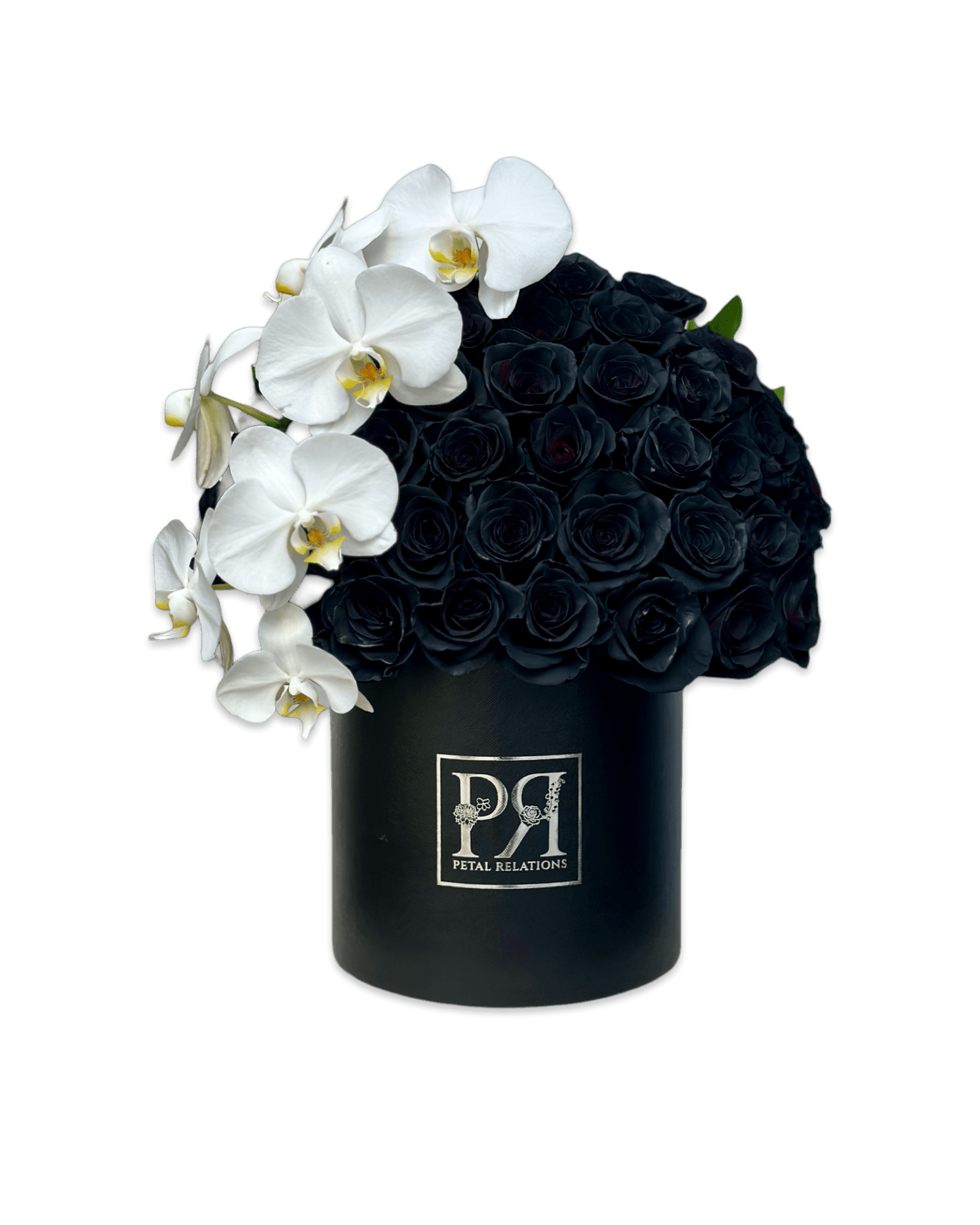Black Simply Rose in a Box - Petal Relations LA
