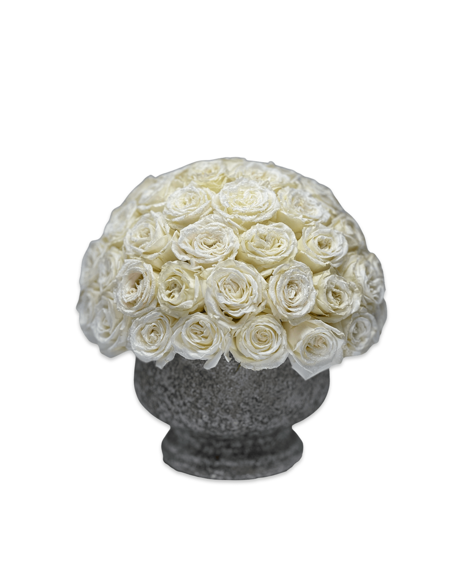 Cici in White - Petal Relations LA