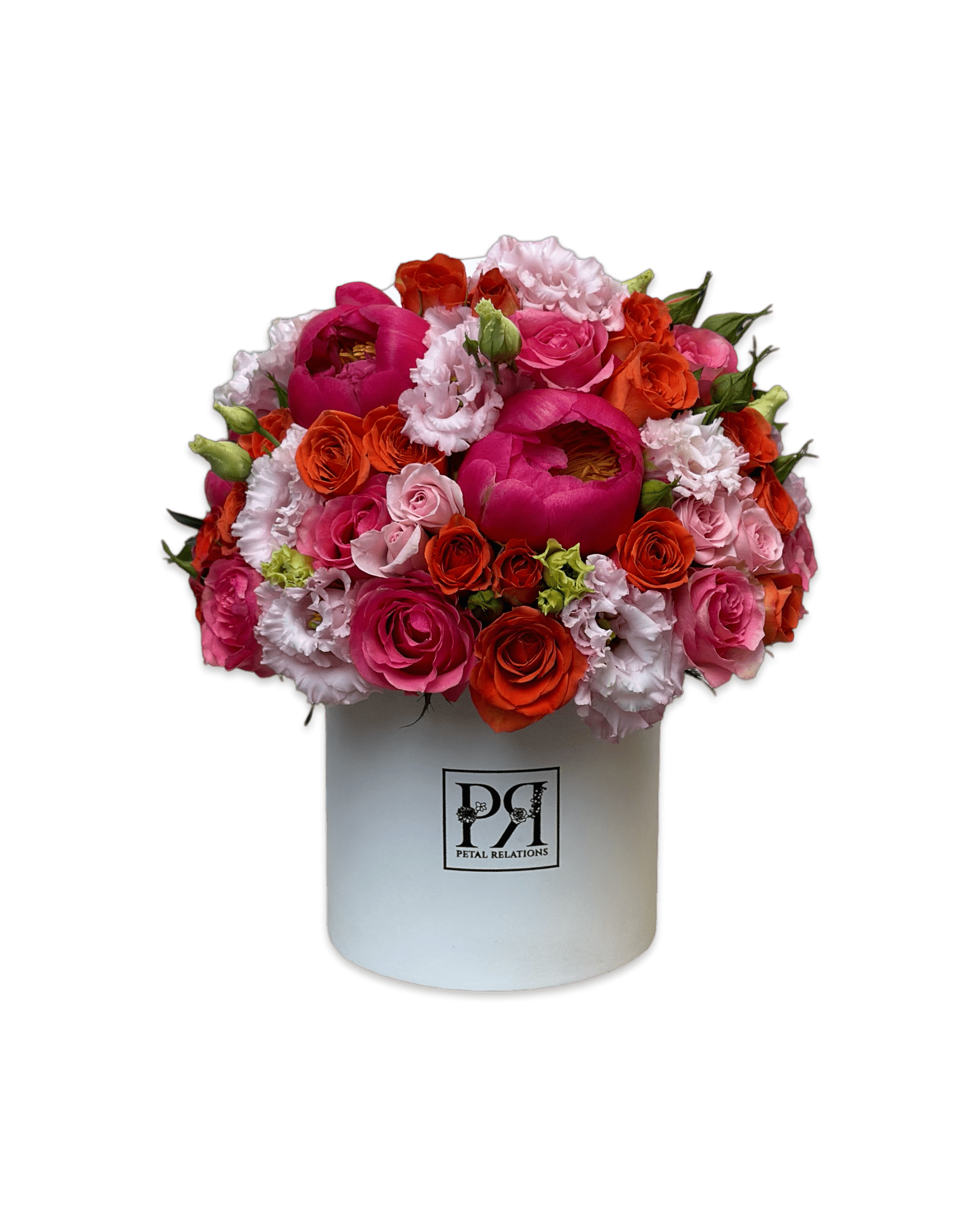 Coral Charm - Petal Relations LA