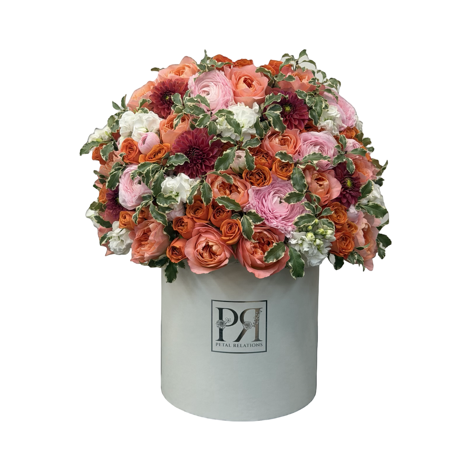 Coral Rosé