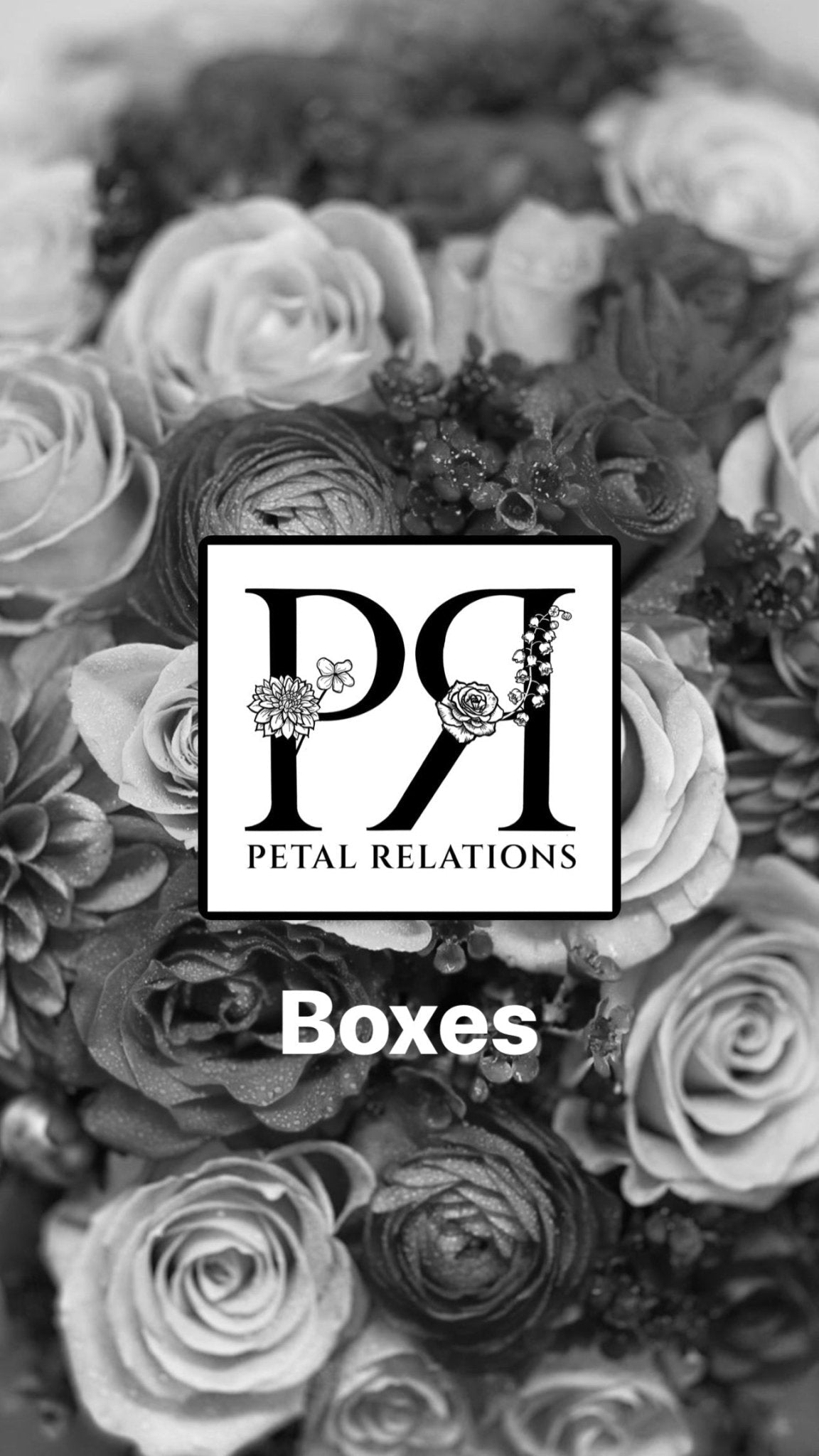 Designer's Choice in a Box - Petal Relations LA