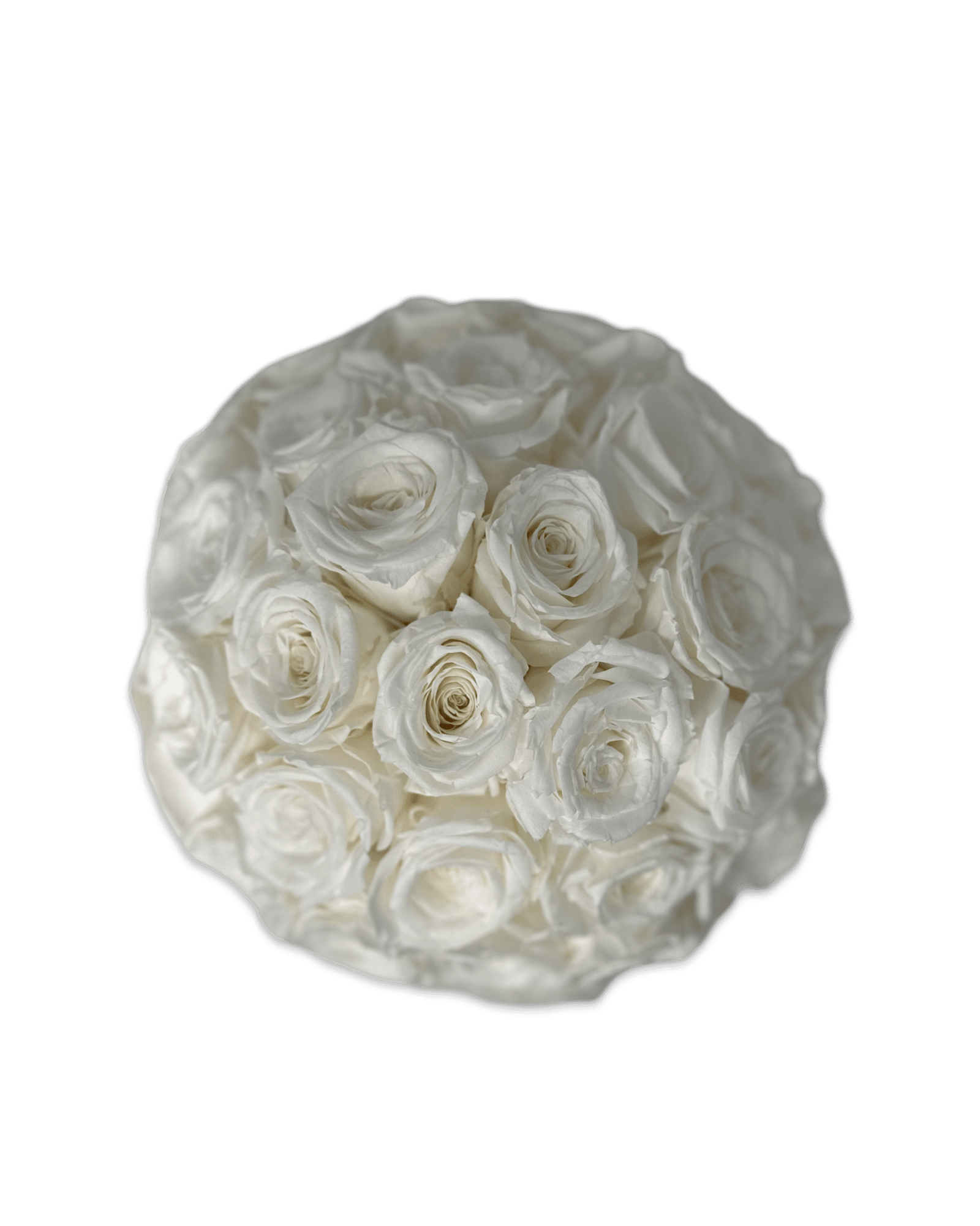 Forever Dome - Petal Relations LA