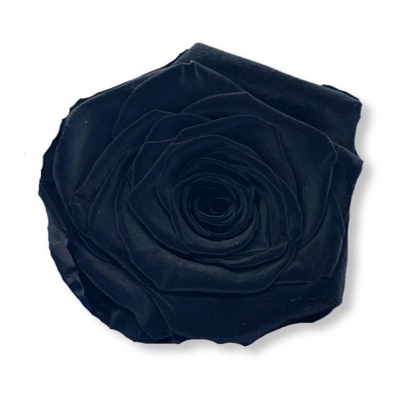 Forever Dome - Petal Relations LA