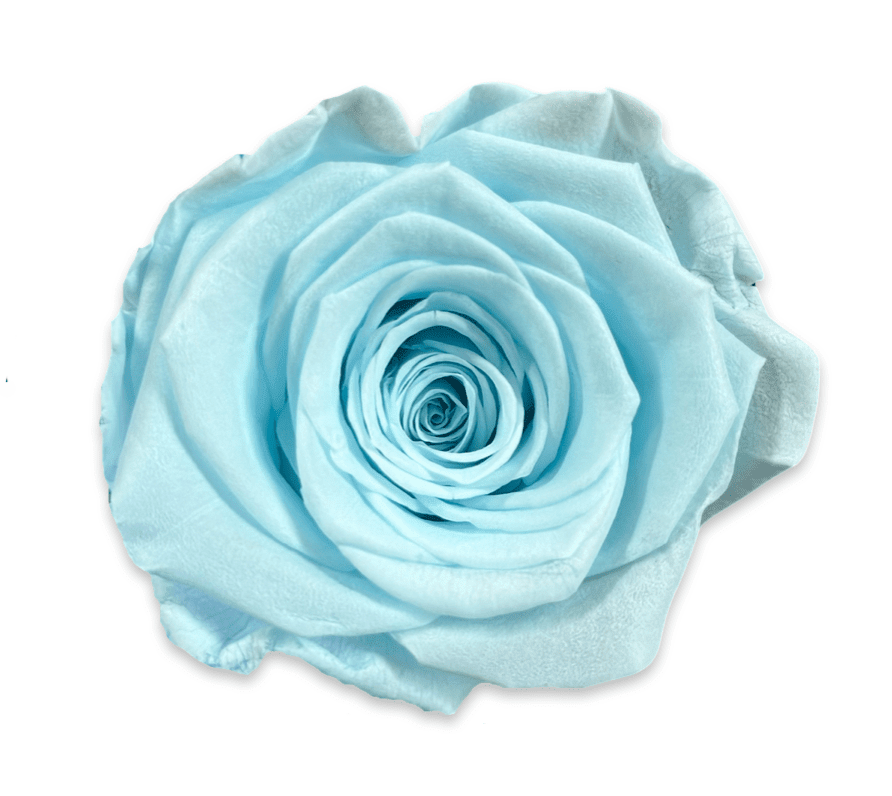 Forever Jumbo Rectangle - Petal Relations LA