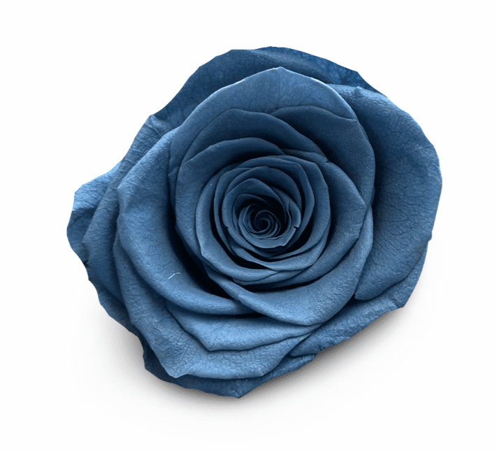 Forever Jumbo Rectangle - Petal Relations LA