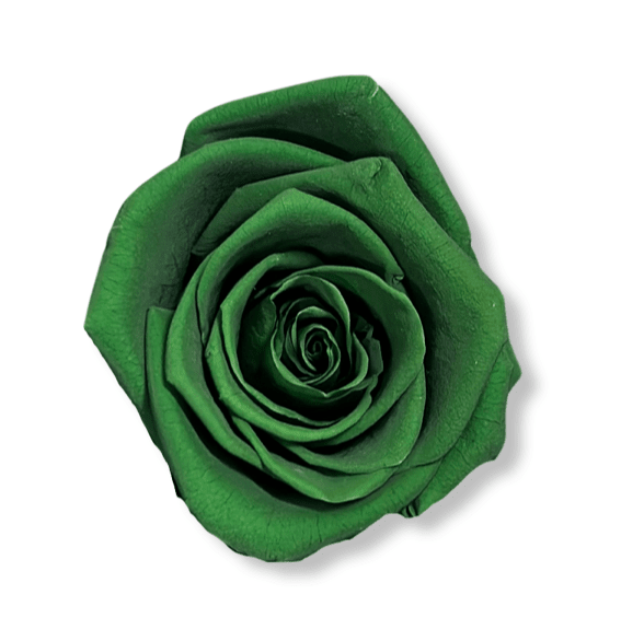 Forever Jumbo Rectangle - Petal Relations LA