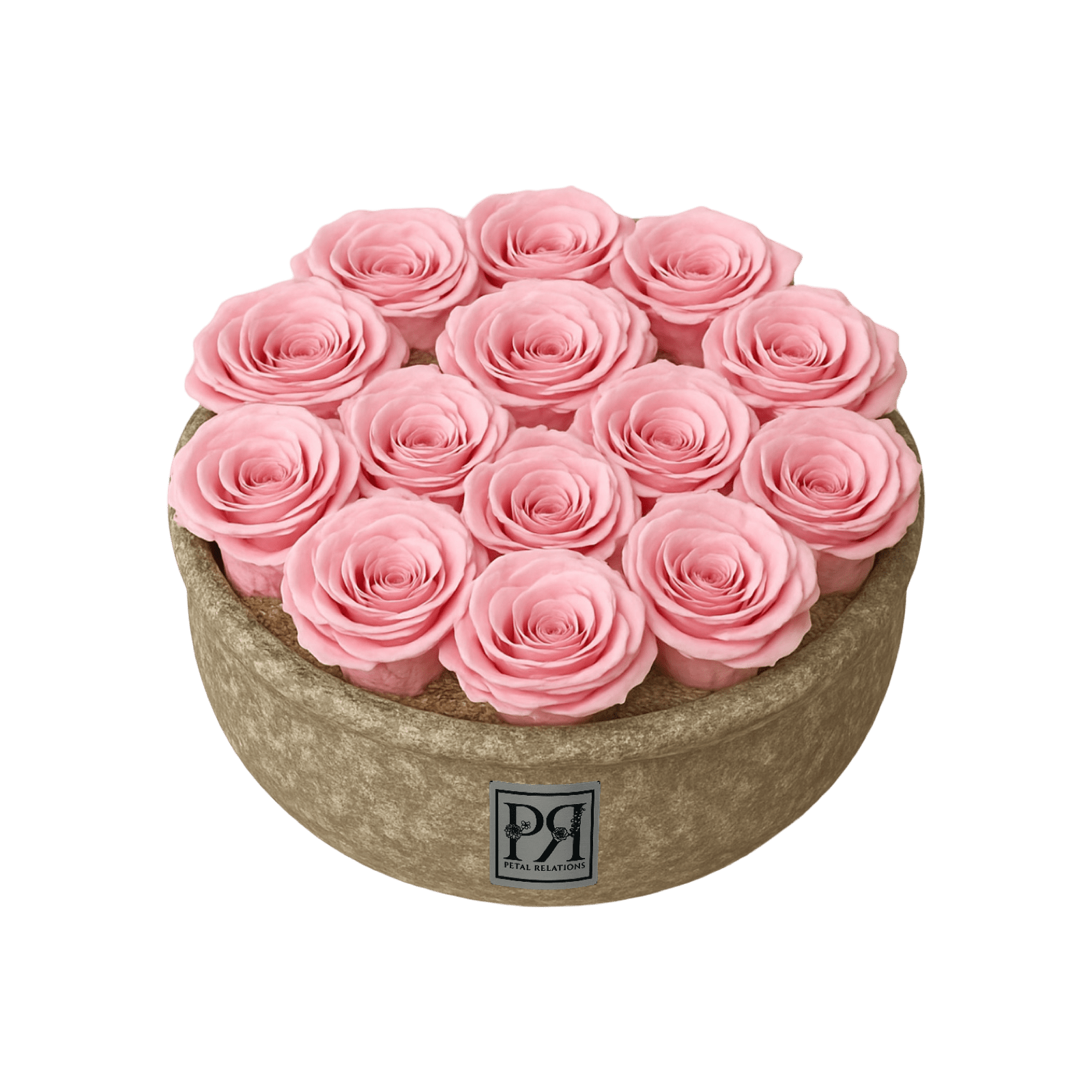 Forever Large Round - Petal Relations LA