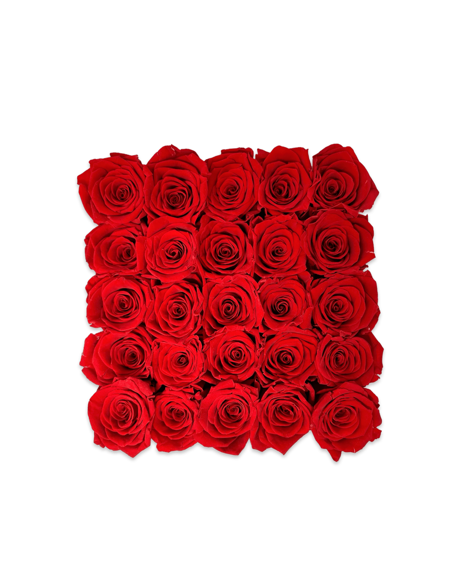 Forever Large Square - Petal Relations LA