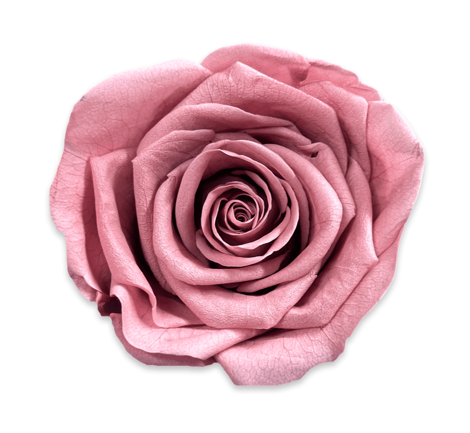 Forever Large Square - Petal Relations LA