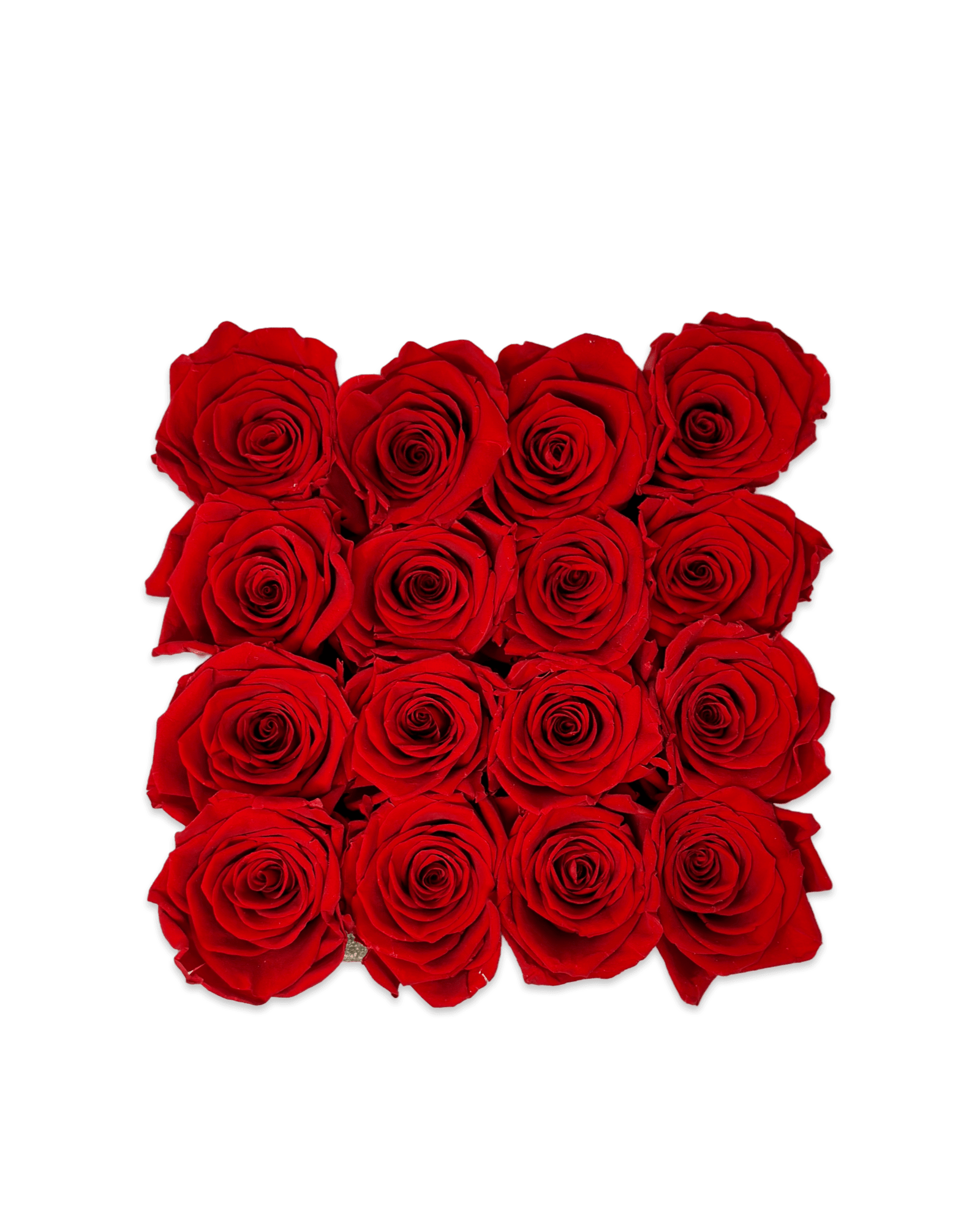 Forever Medium Square - Petal Relations LA