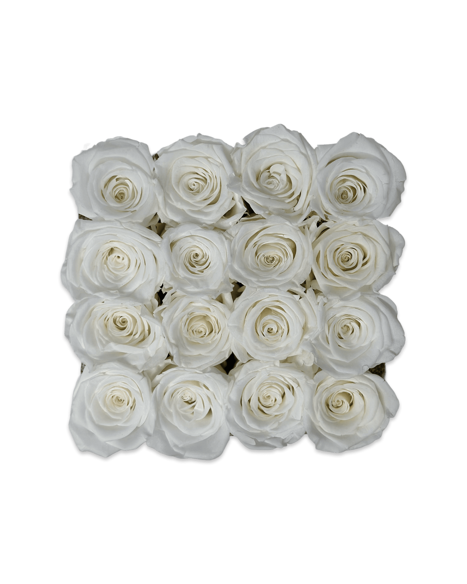 Forever Medium Square - Petal Relations LA