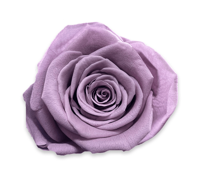 Forever Medium Square - Petal Relations LA