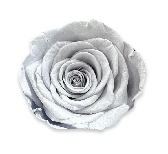 Forever Medium Square - Petal Relations LA