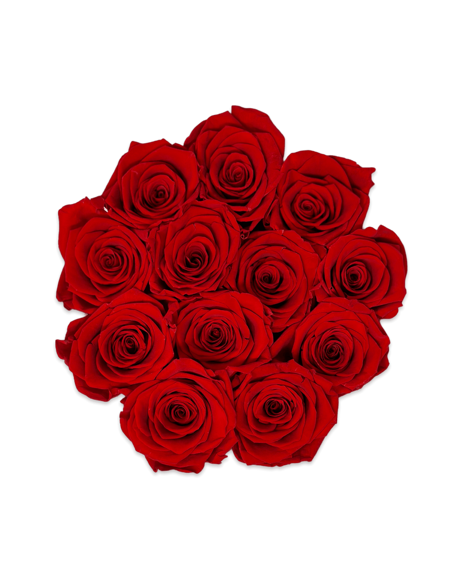 Forever Round in a Box - Petal Relations LA
