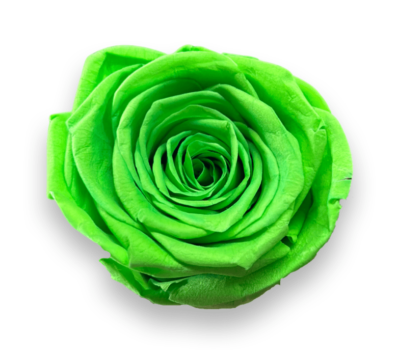 Forever Round in a Box - Petal Relations LA