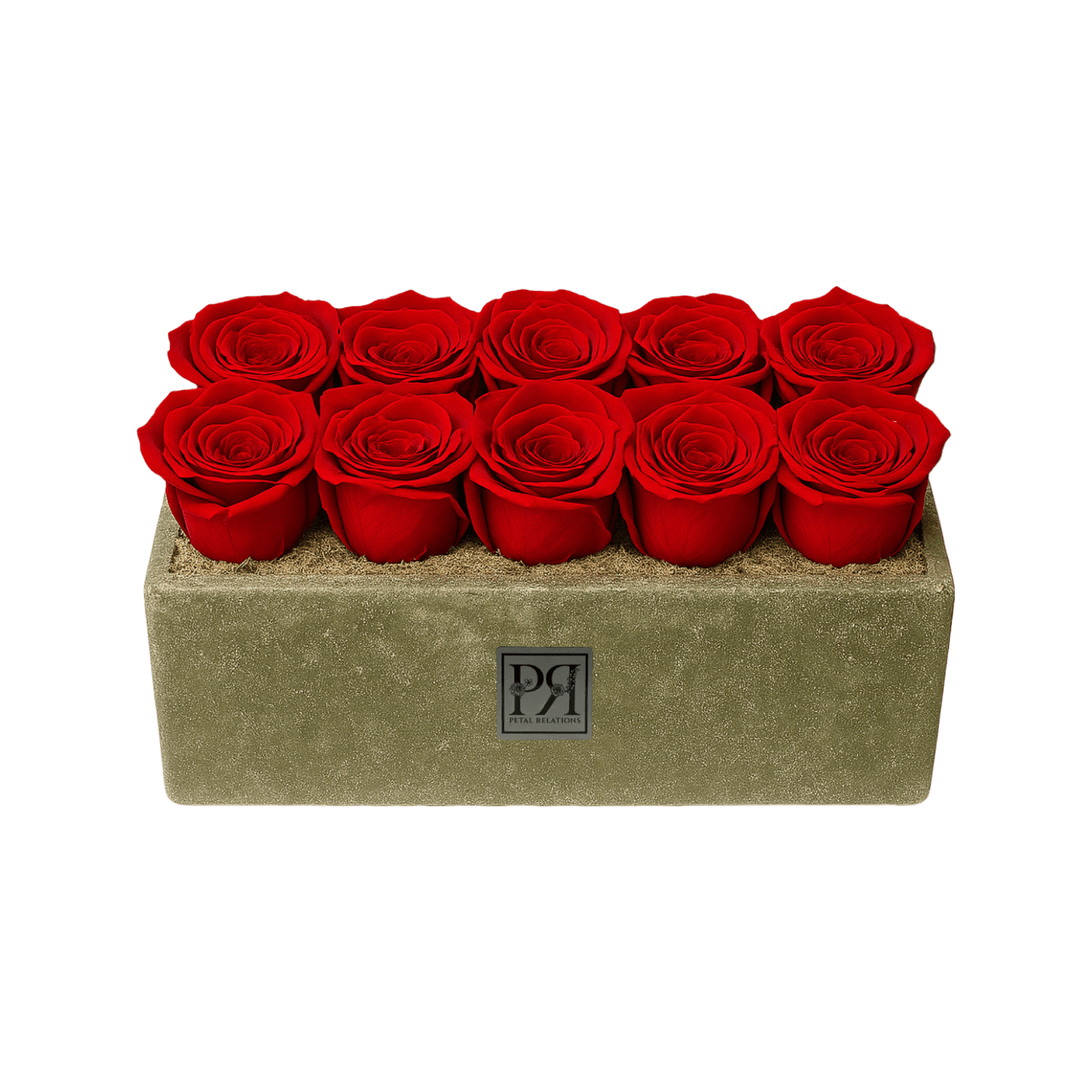 Forever Small Rectangle - Petal Relations LA