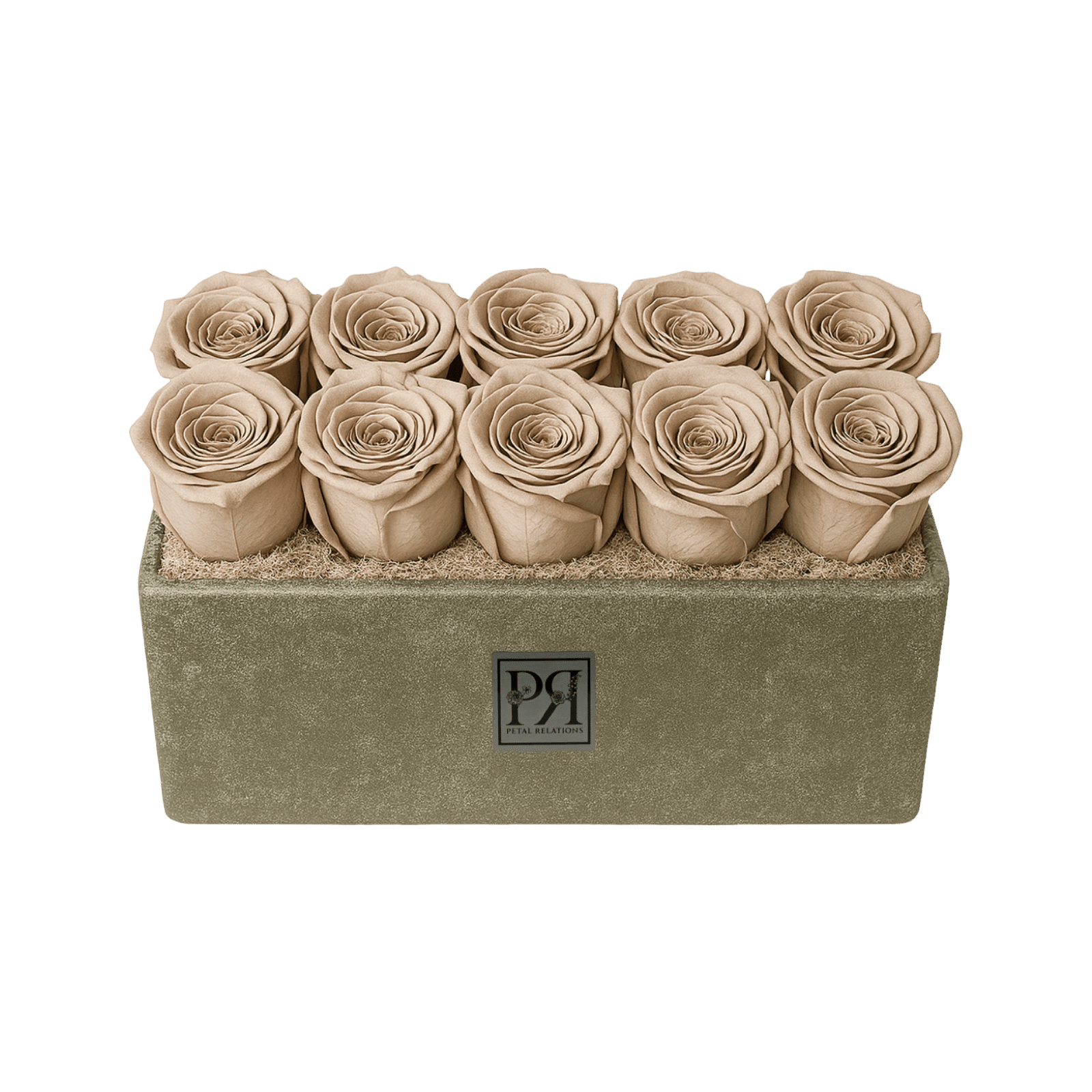 Forever Small Rectangle - Petal Relations LA