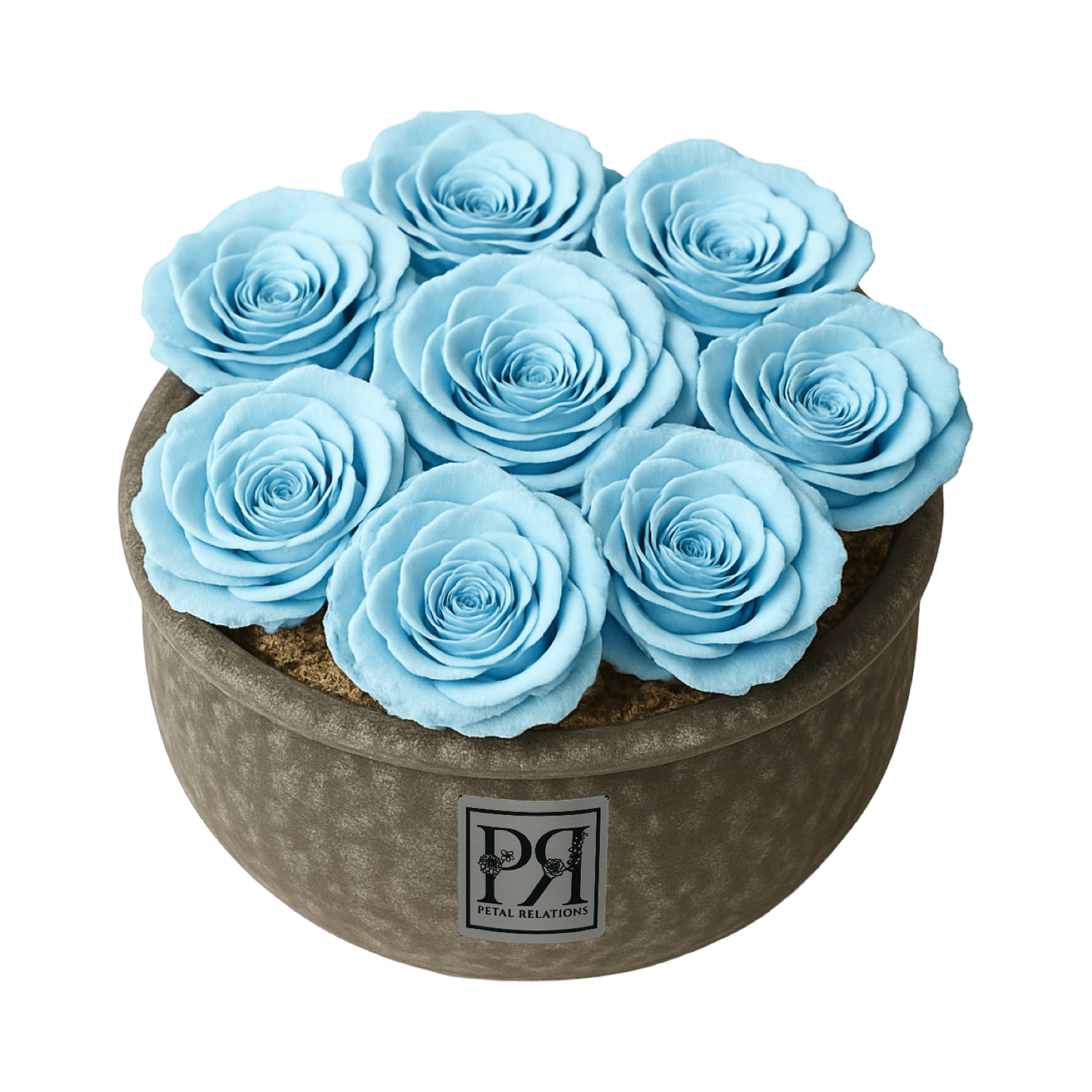 Forever Small Round - Petal Relations LA