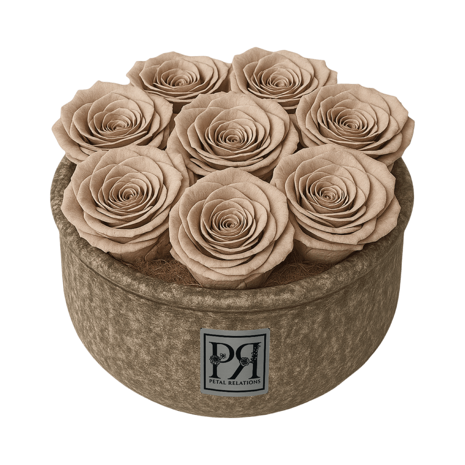 Forever Small Round - Petal Relations LA