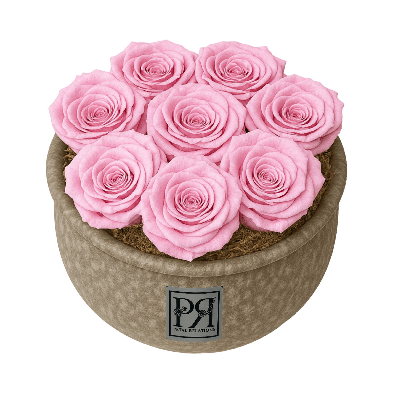 Forever Small Round - Petal Relations LA