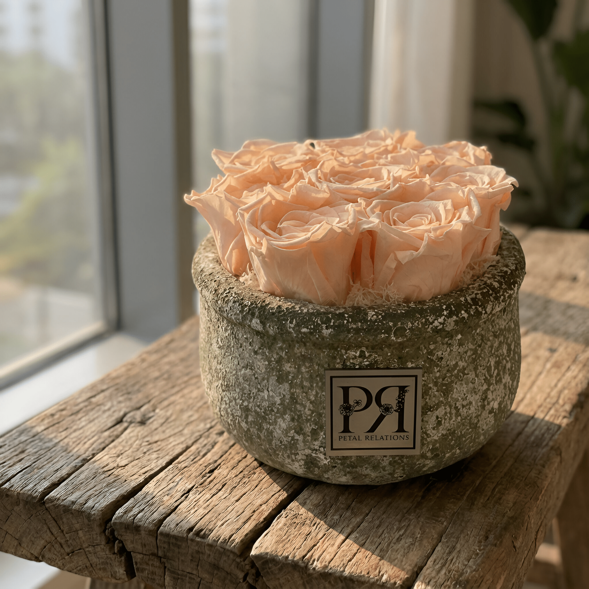 Forever Small Round - Petal Relations LA