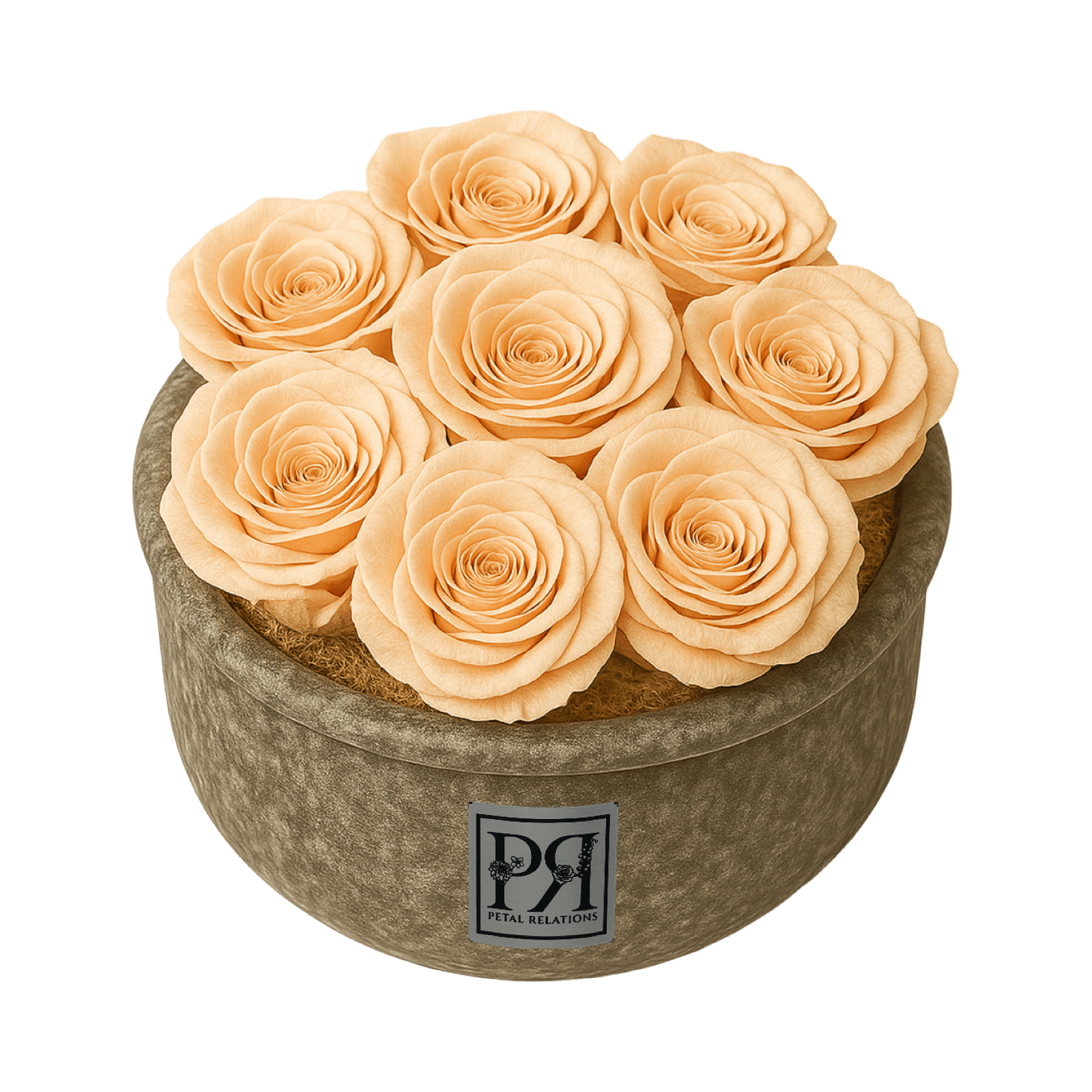 Forever Small Round - Petal Relations LA
