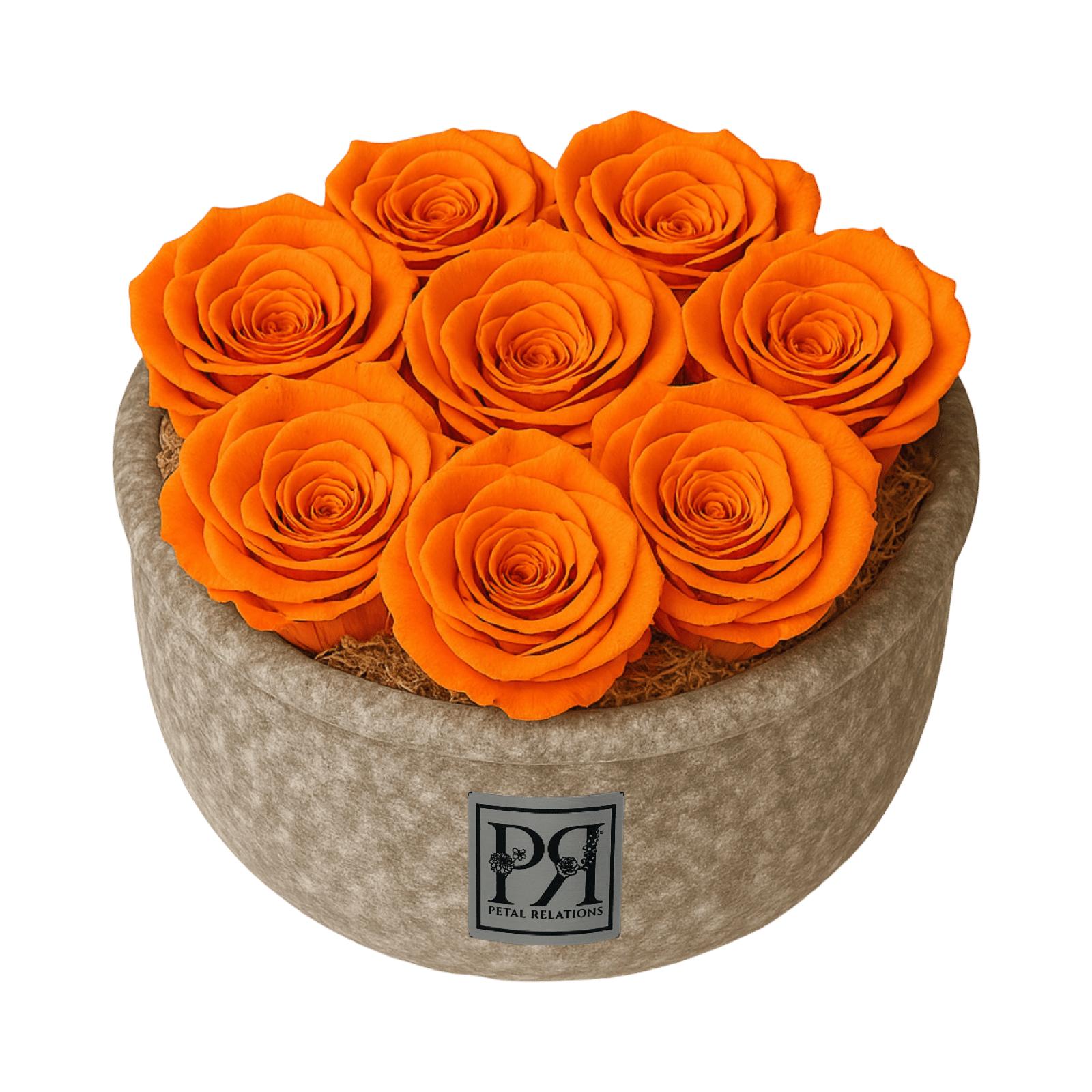 Forever Small Round - Petal Relations LA