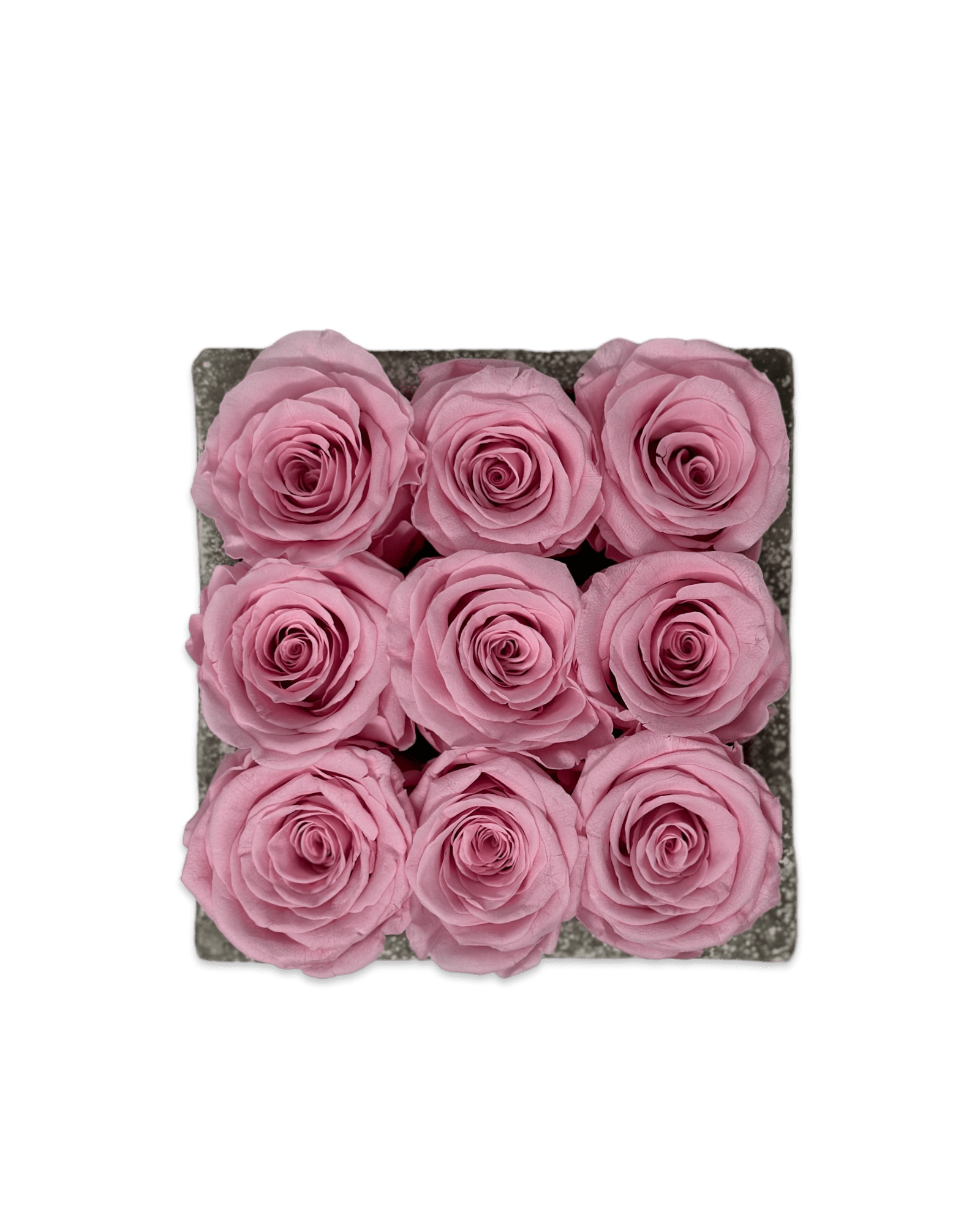 Forever Small Square - Petal Relations LA