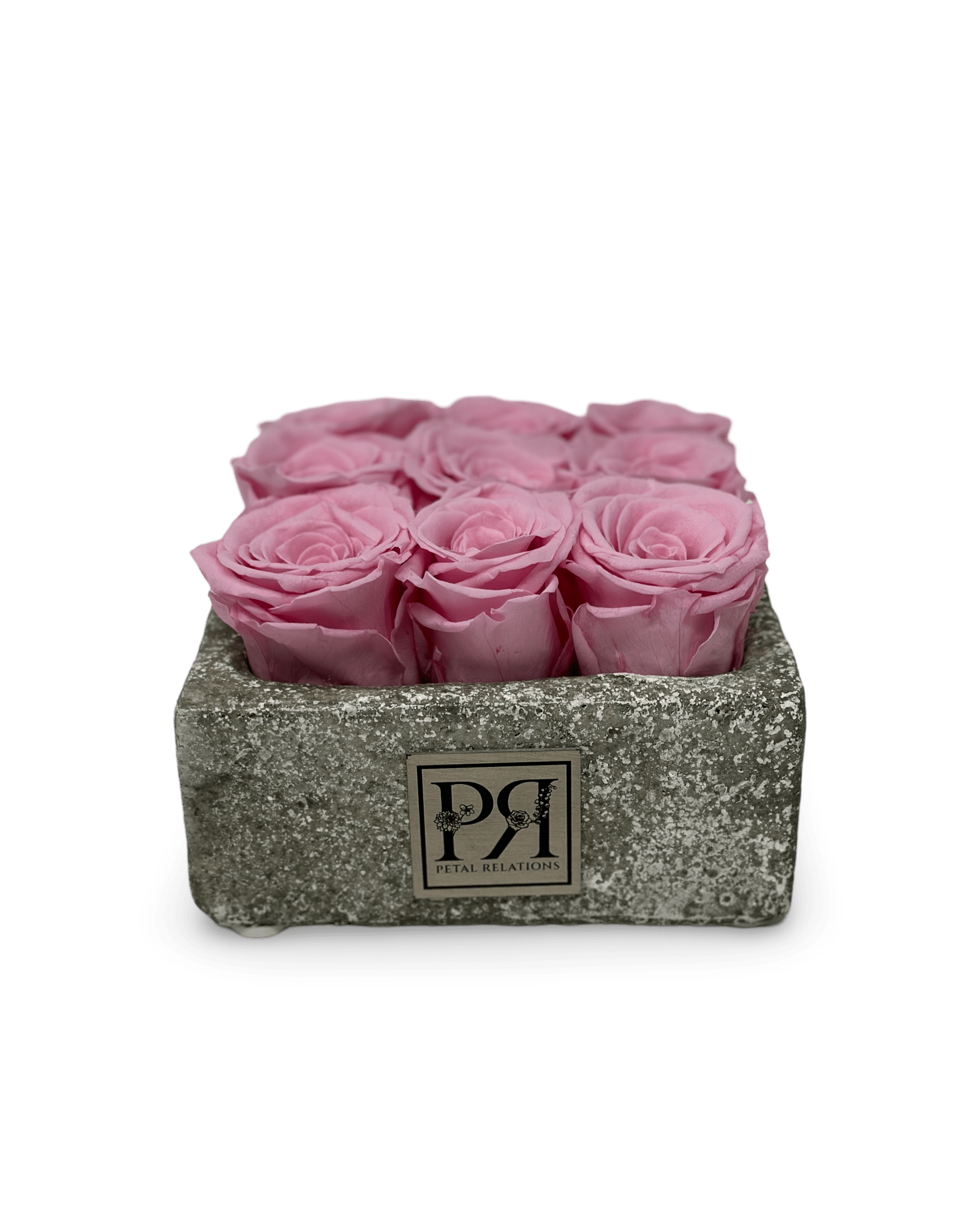 Forever Small Square - Petal Relations LA