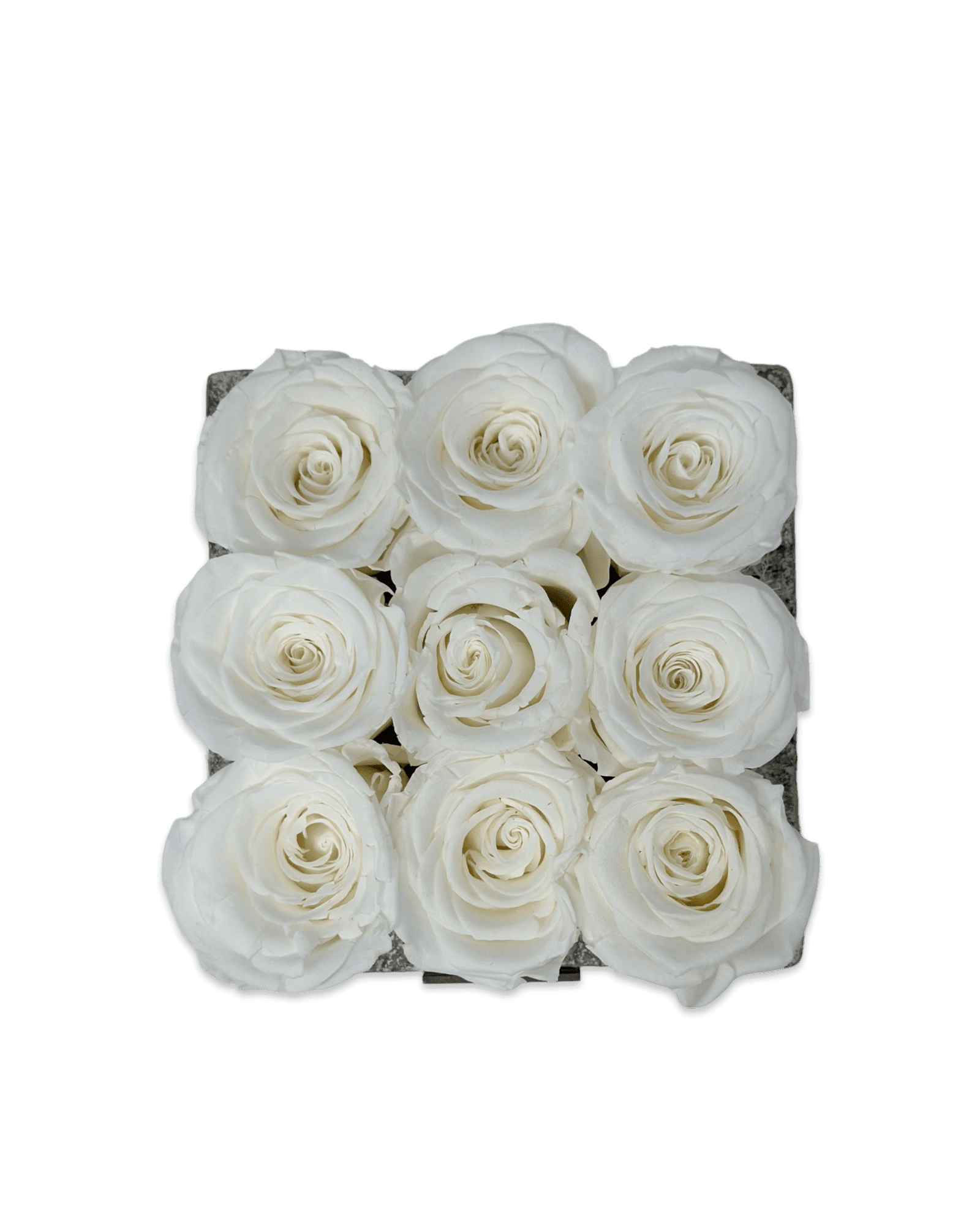 Forever Small Square - Petal Relations LA
