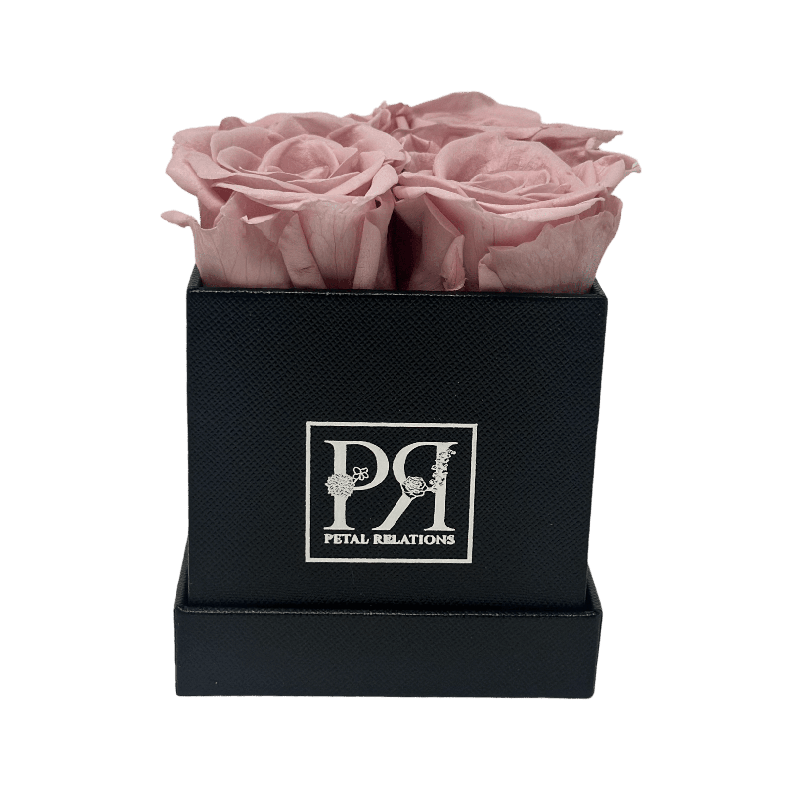 Forever Square in a Box - Petal Relations LA