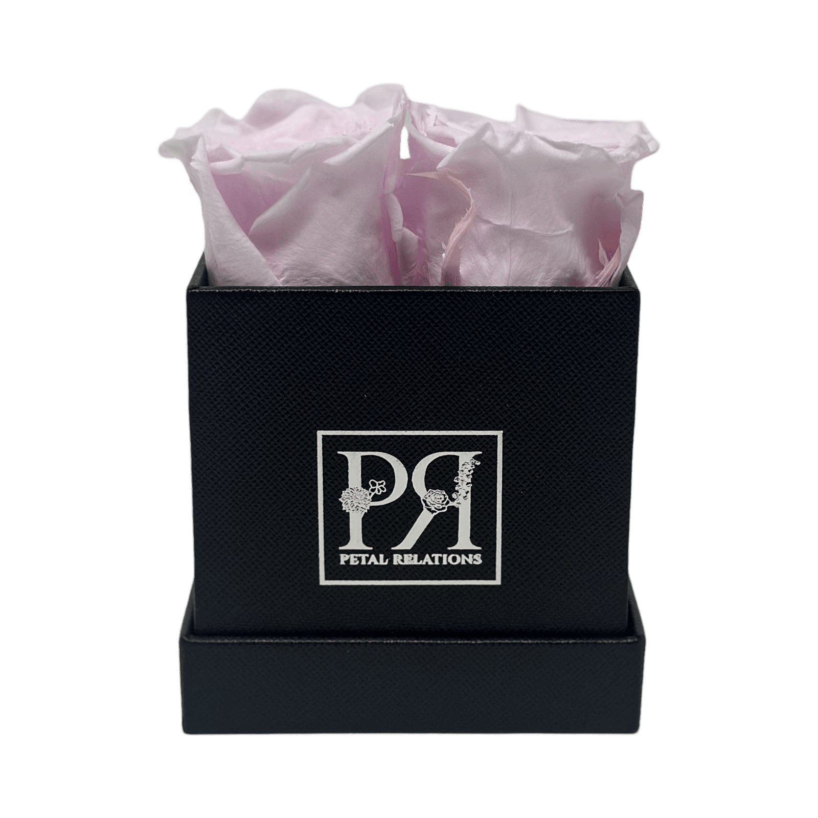 Forever Square in a Box - Petal Relations LA