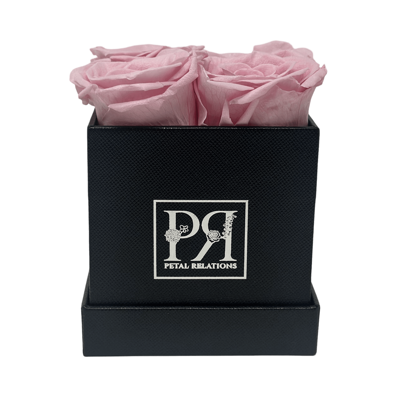 Forever Square in a Box - Petal Relations LA