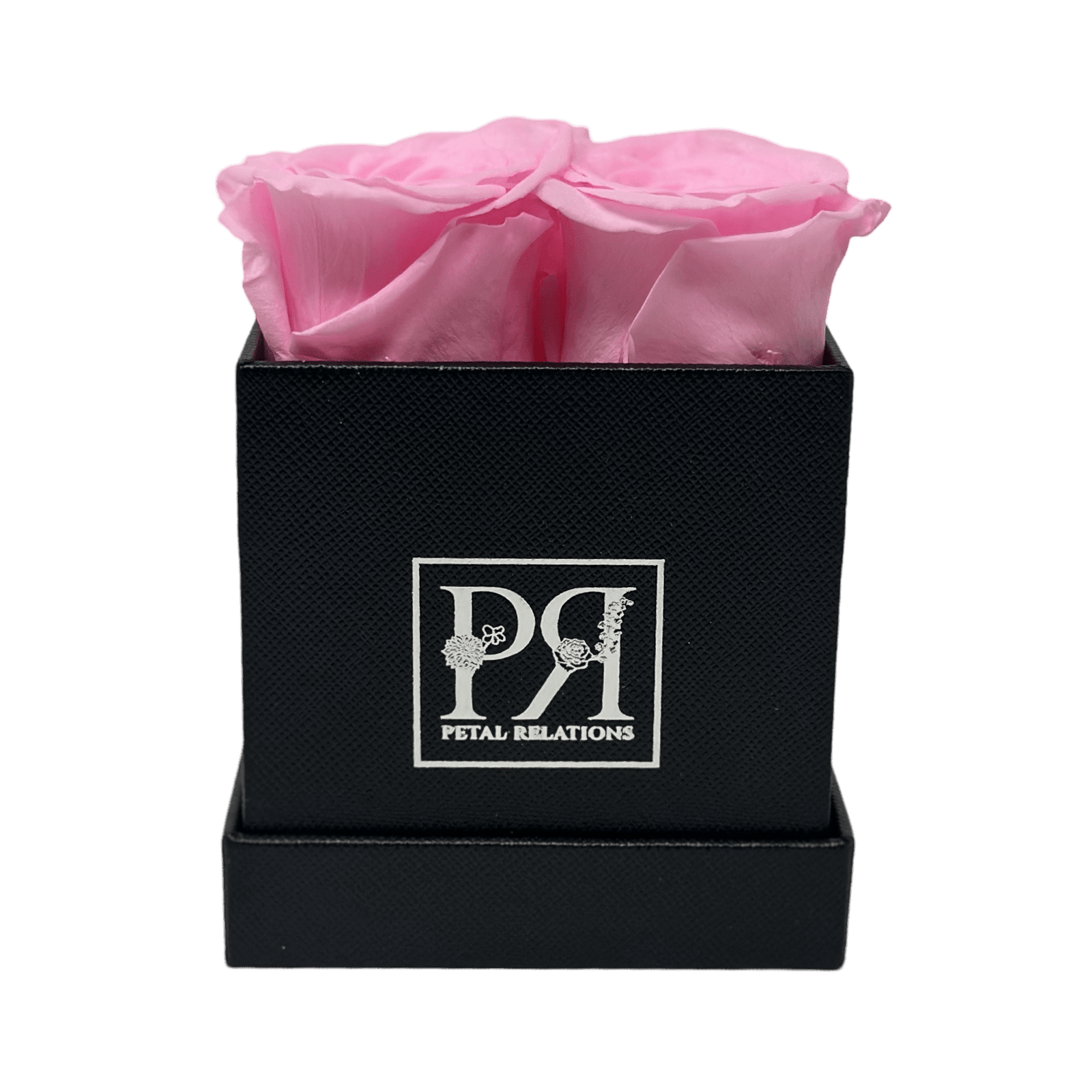 Forever Square in a Box - Petal Relations LA