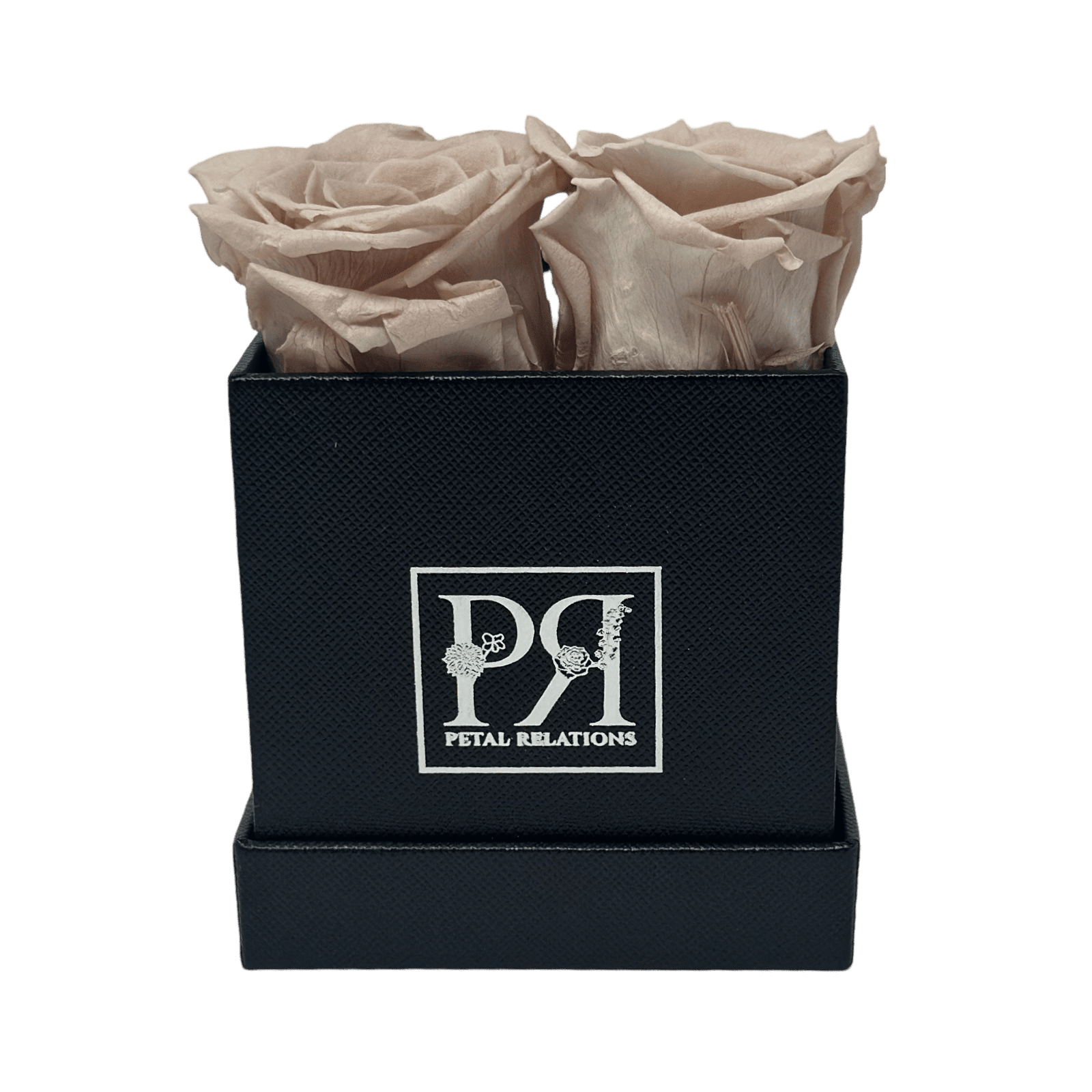 Forever Square in a Box - Petal Relations LA
