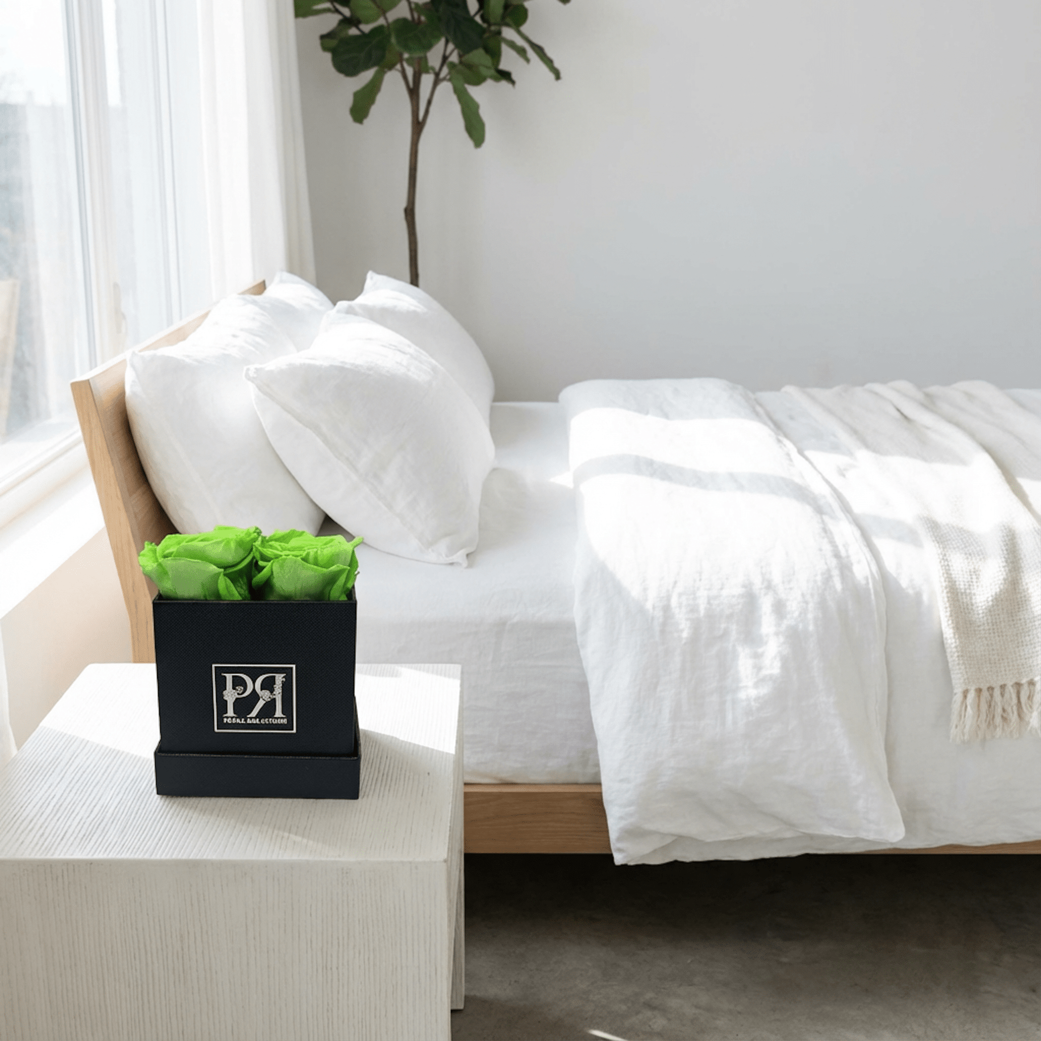 Forever Square in a Box - Petal Relations LA