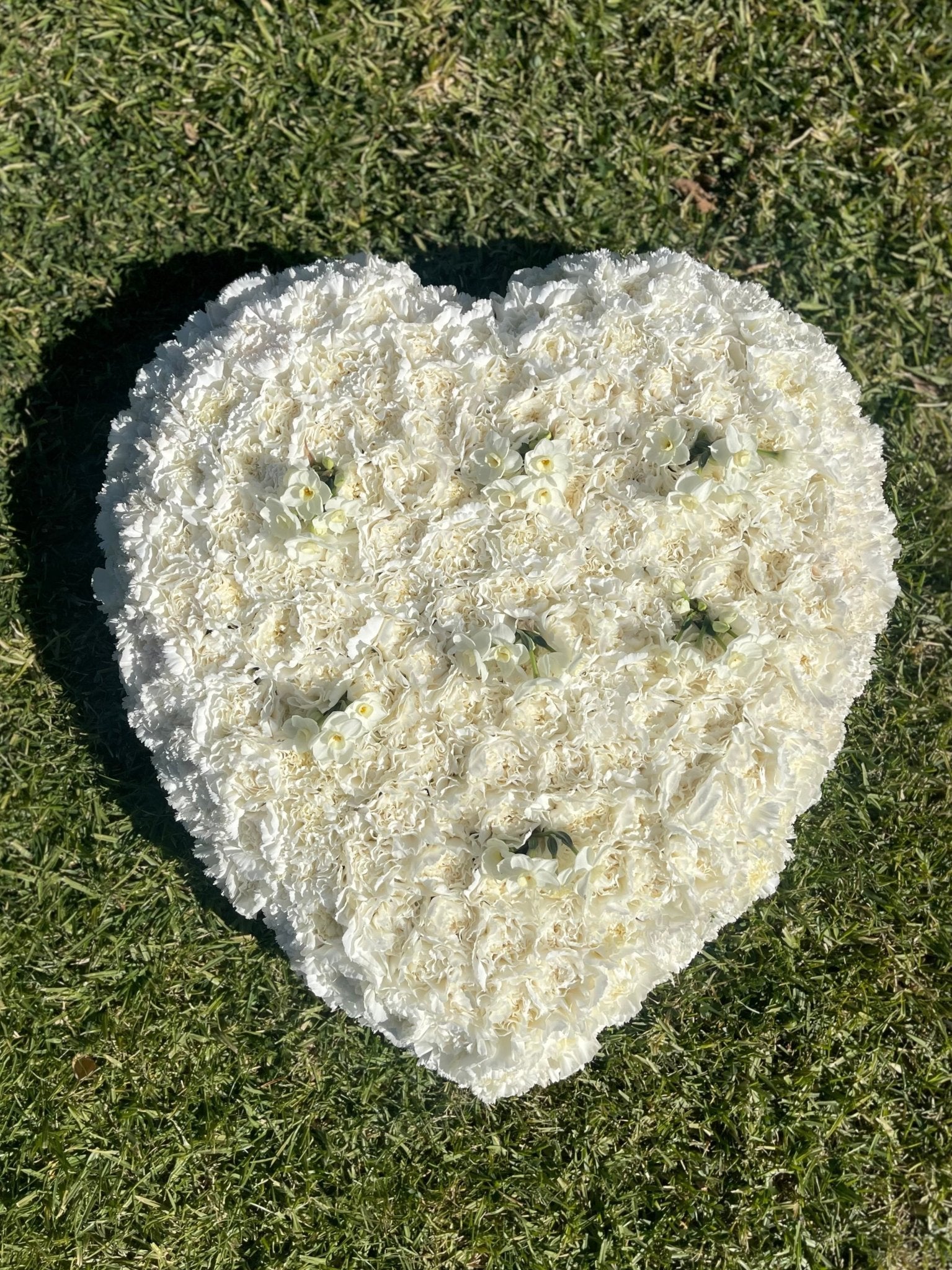 Heart Ground Cover - Petal Relations LA