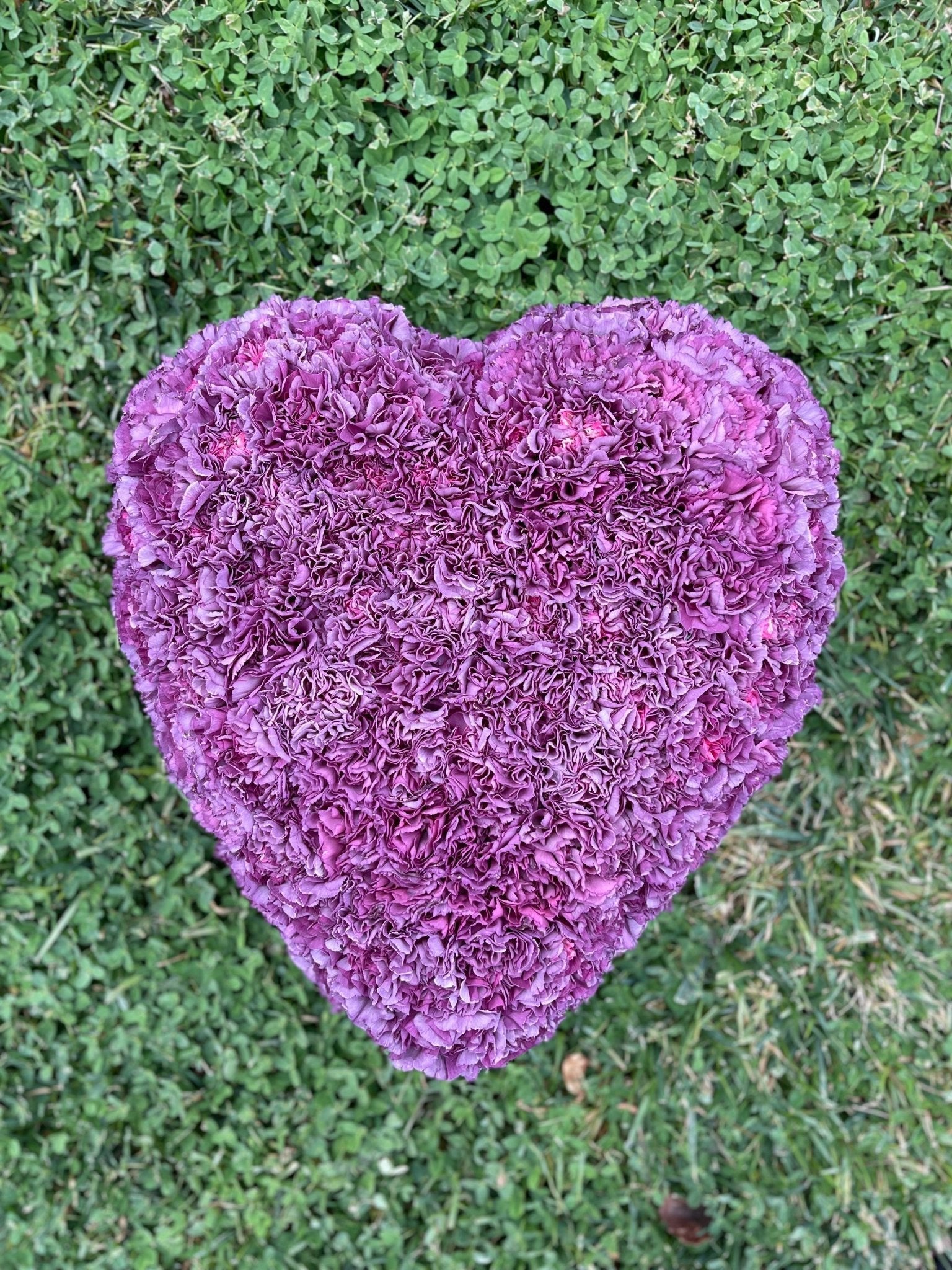 Heart Ground Cover - Petal Relations LA