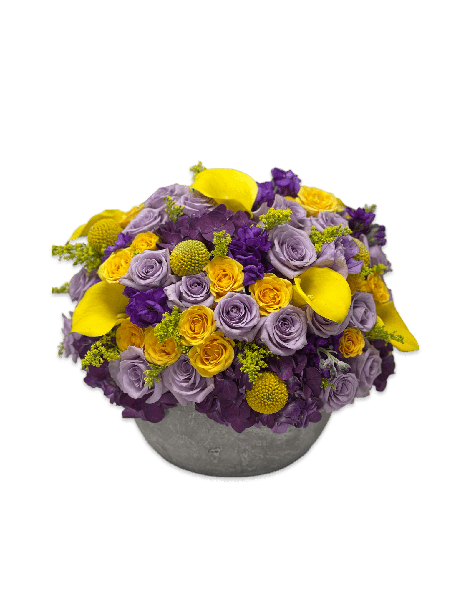 Laker Baby - Petal Relations LA